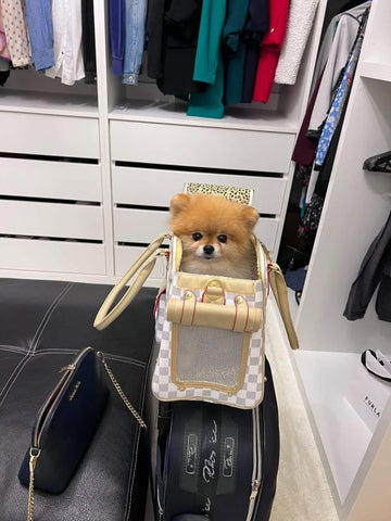 Love Me Luxury Dog Transporter – Pomiez.world Shop