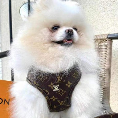 Love Me Designer LV Dog Hoodie