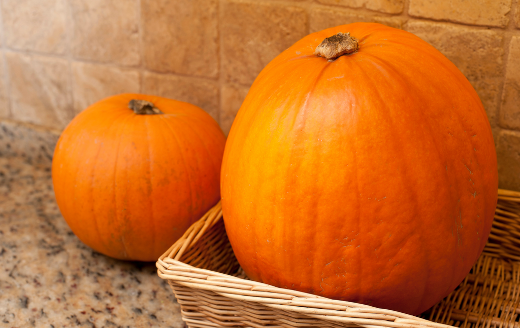 Pumpkins on a granite countertop.