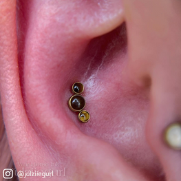 Ear Pierced with Tiger's Eye Curved Cluster