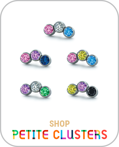 Shop Pride Collection Titanium Threadless Petite Clusters