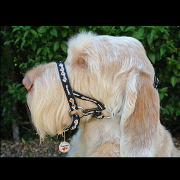 Dogmatic headcollars sales