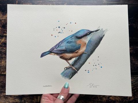 An original watercolour painting of a nuthatch bird