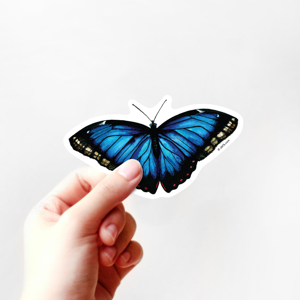 Blue Morpho Butterfly Sticker