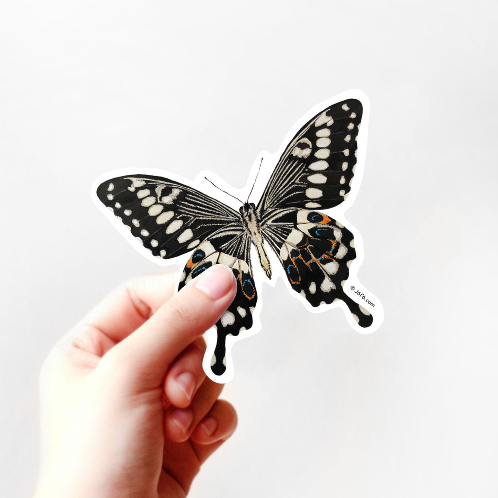 Butterfly 6 - DECAL AND ACRYLIC SHAPE #DA0161