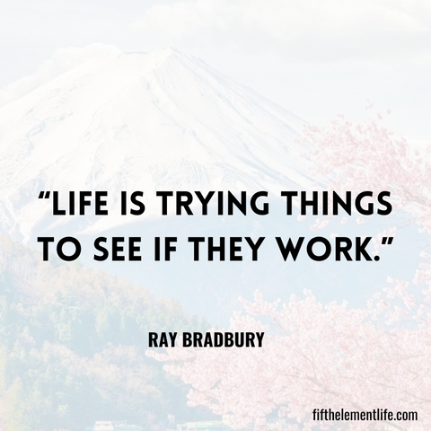 Life is trying things to see if they work.