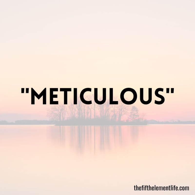 "Meticulous"