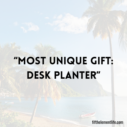 Most Unique Gift: Desk Planter