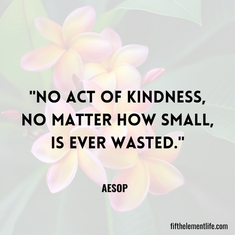 No act of kindness, no matter how small, is ever wasted.