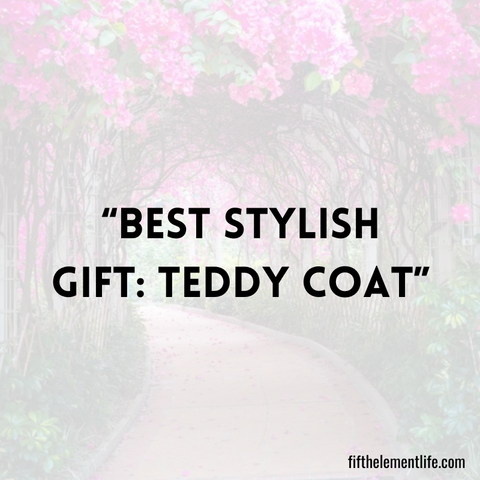 Best Stylish Gift: Teddy Coat