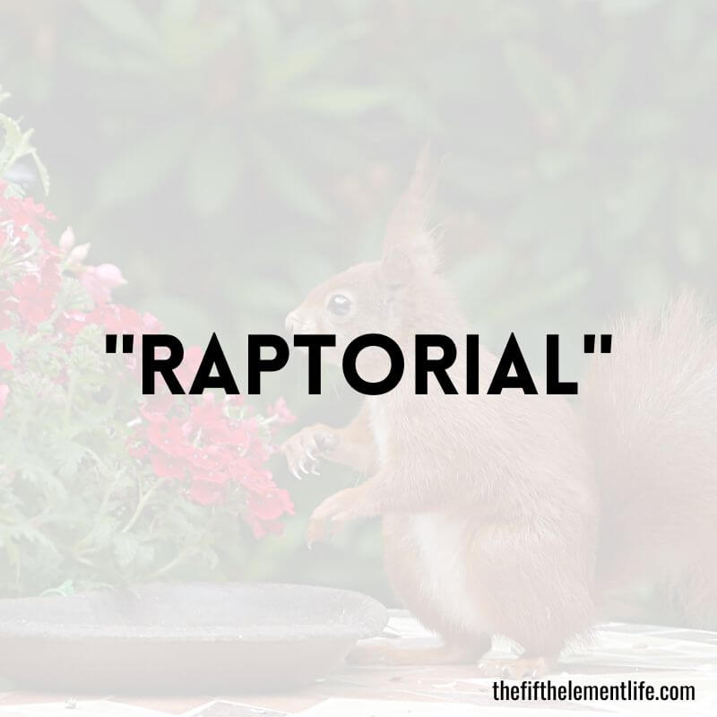 "Raptorial"