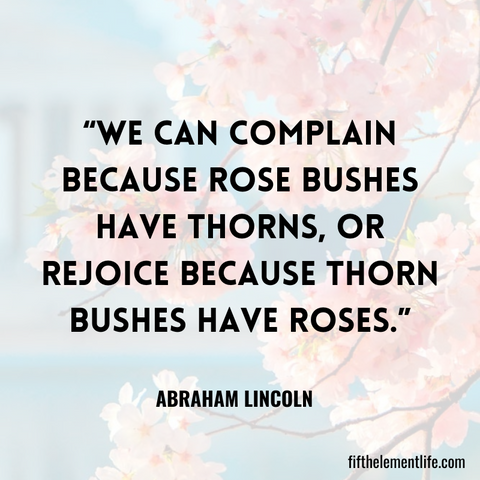 We can complain because rose bushes have thorns, or rejoice because thorn bushes have roses.