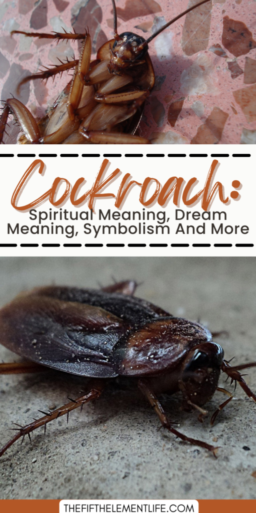 The Cockroach's Spirit Animal