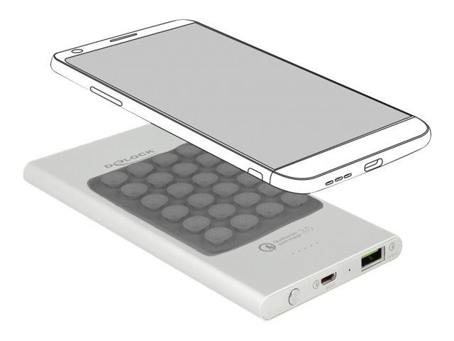 DeLOCK Powerbank 5000mAh Sølv