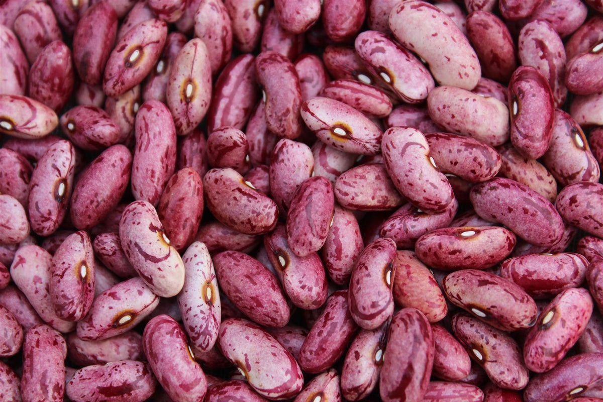 Some beans. Кормовые Бобы. Кормовые Бобы семена. Candy Beans. Runner Beans сухие.