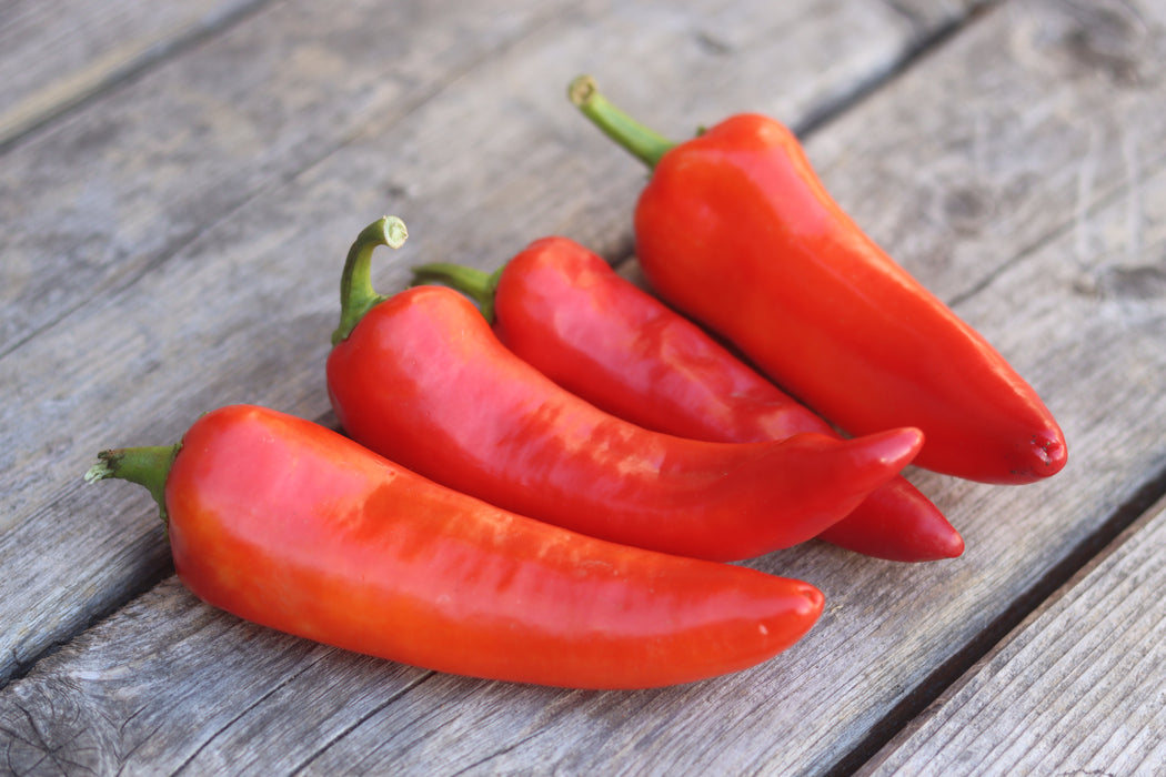 Banana Pepper Sweet Peppers Annapolis Seeds Grown In Nova Scotia