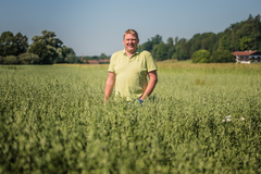 Barnhouse Bauer Hilarius in seinem Bop-Haferfeld