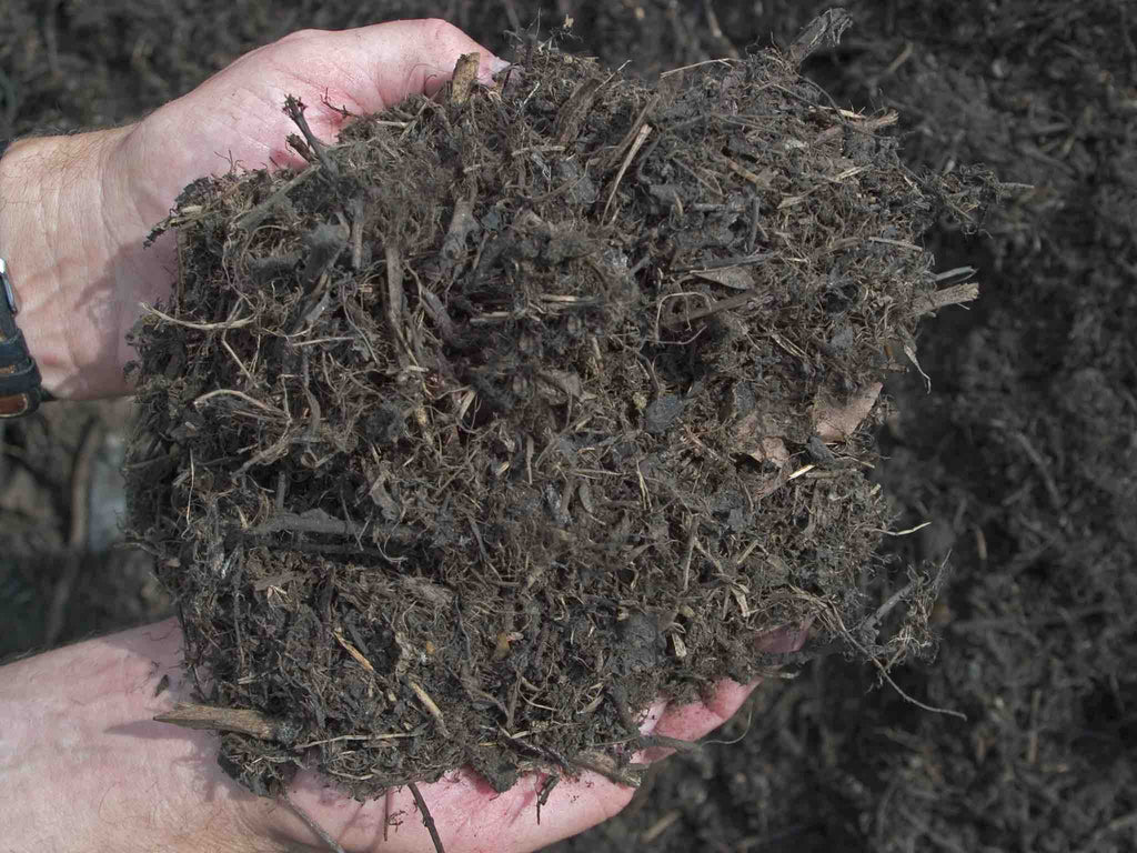 A man holds commercially processed compost in his hands.