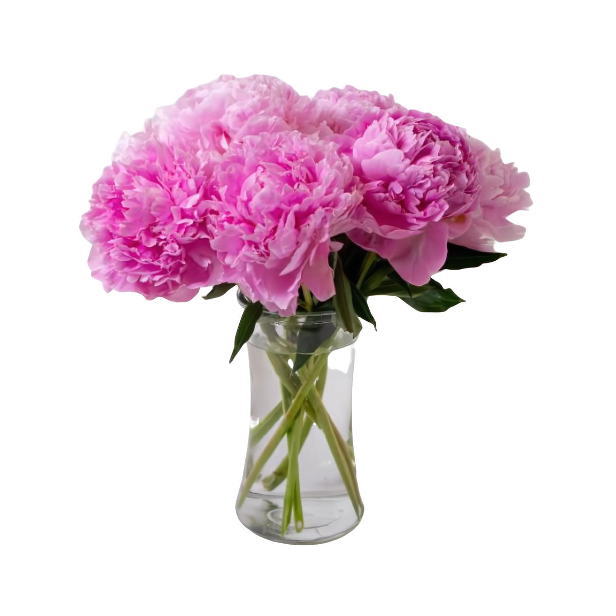 Manhattan Flower Delivery - Perfect Peony - Occasions &gt; Anniversary