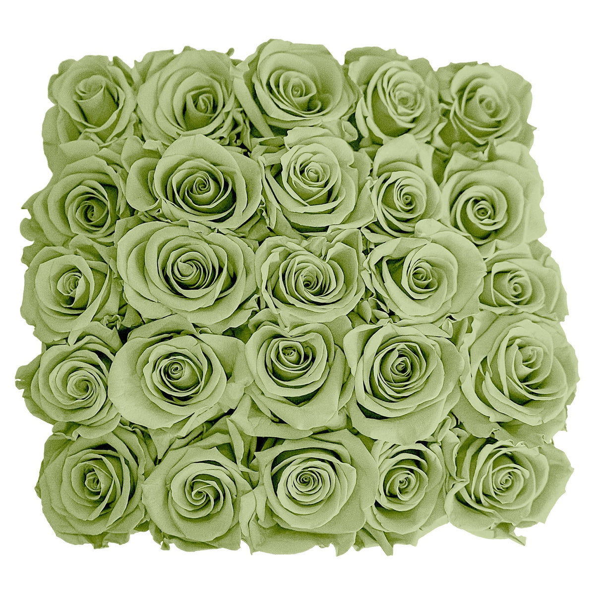 Caja Pequeña de Rosas Preservadas |  Verde |  Florería en Manhattan, NY: Entrega de flores el mismo día en Manhattan