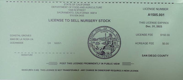 nursey license