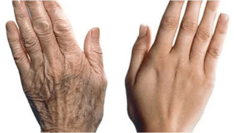 Old young hand comparasion