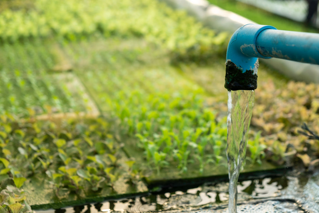 Hydroponic Systems Running Cost - Water