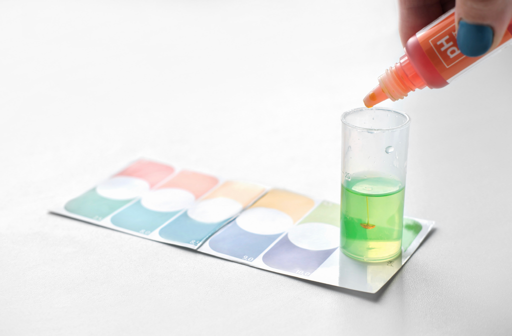 Monitoring pH and EC - Test