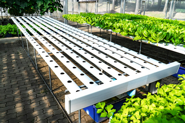 NFT Hydroponic System - PVC