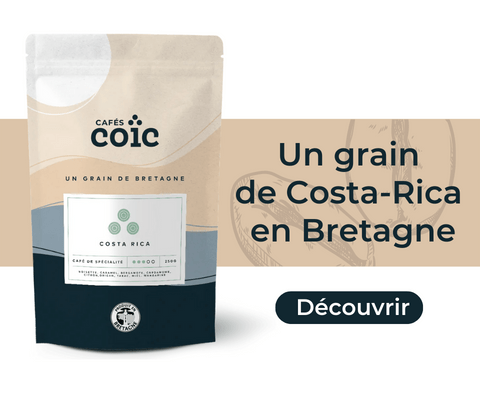 Un grain de café Costa-Rica en Bretagne