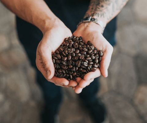 Café en grain dans des mains pour présentation