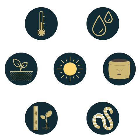 les 7 paramètres à contrôler pour la pousse du café : La température, L'eau, Sol, Ensoleillement, Engrais, Taille, Lutte contre les parasites
