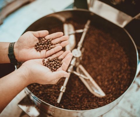 café fraîchement torréfié dans les mains du torréfacteur