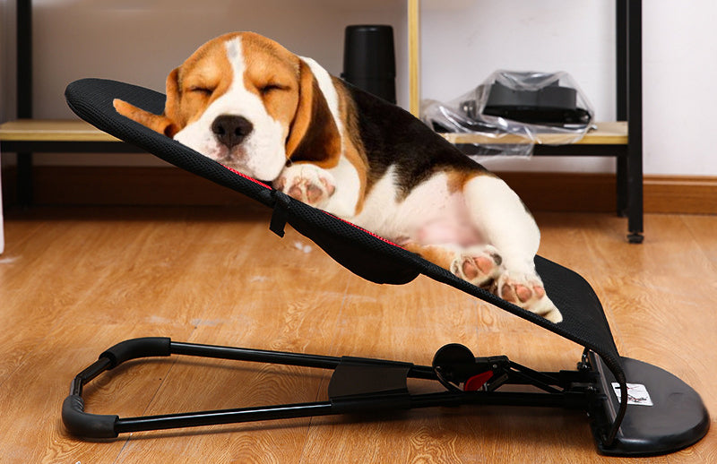 dog rocking chair bed