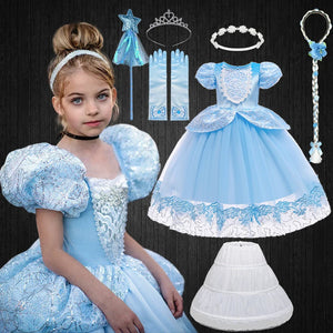 Girls Blue Cinderella Dress Summer Puff Sleeve Embroidery Flower Dresses for Girls - 90shopping Co LLC