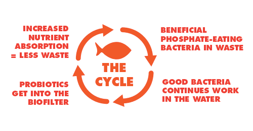 NLS-Probiotix-TheCycle-1