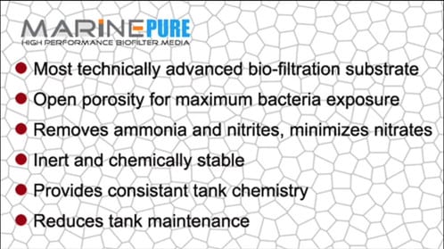 marine pure comparision