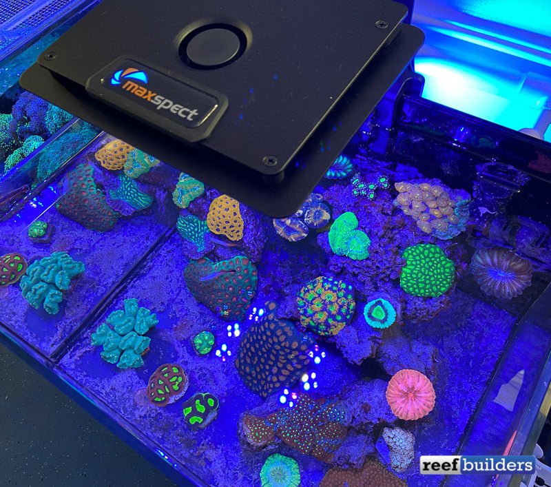 maxspect jump MJ-L165 LED マックススペクト その２-