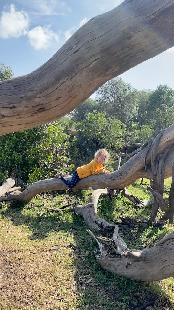 Child climbing on fallen tree branches