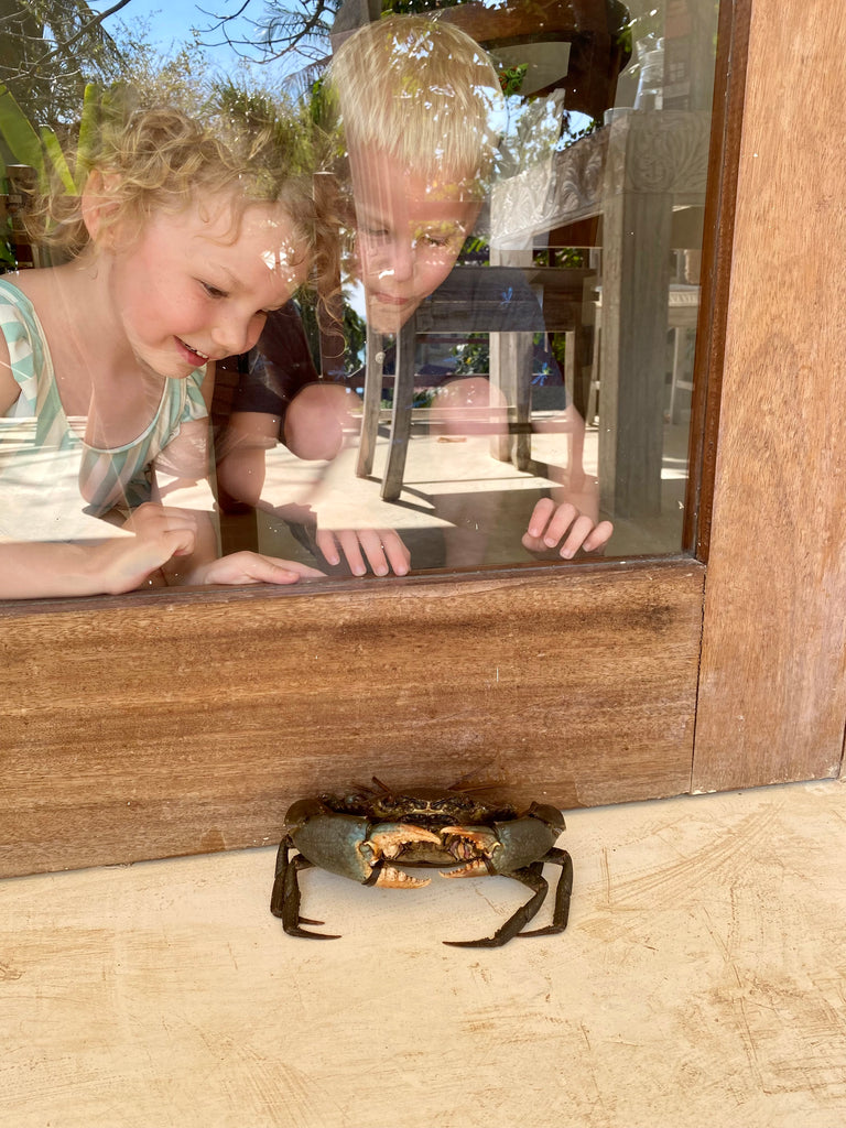 Two children watch a crab through a windowpane.