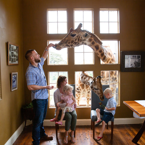 Family in front of a large wall of windows, with two giraffes sticking their heads through the window.