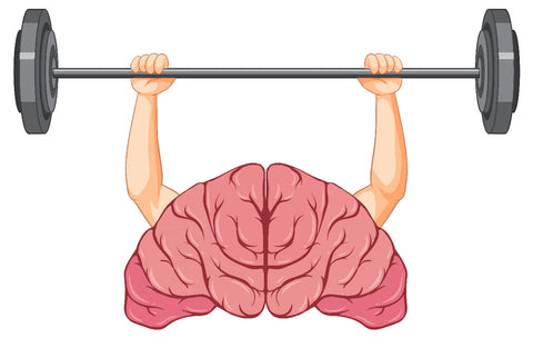 Brain and fitness