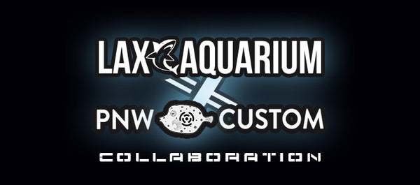 PNW Custom x LAX Aquarium Micro Reef Tank Collaboration