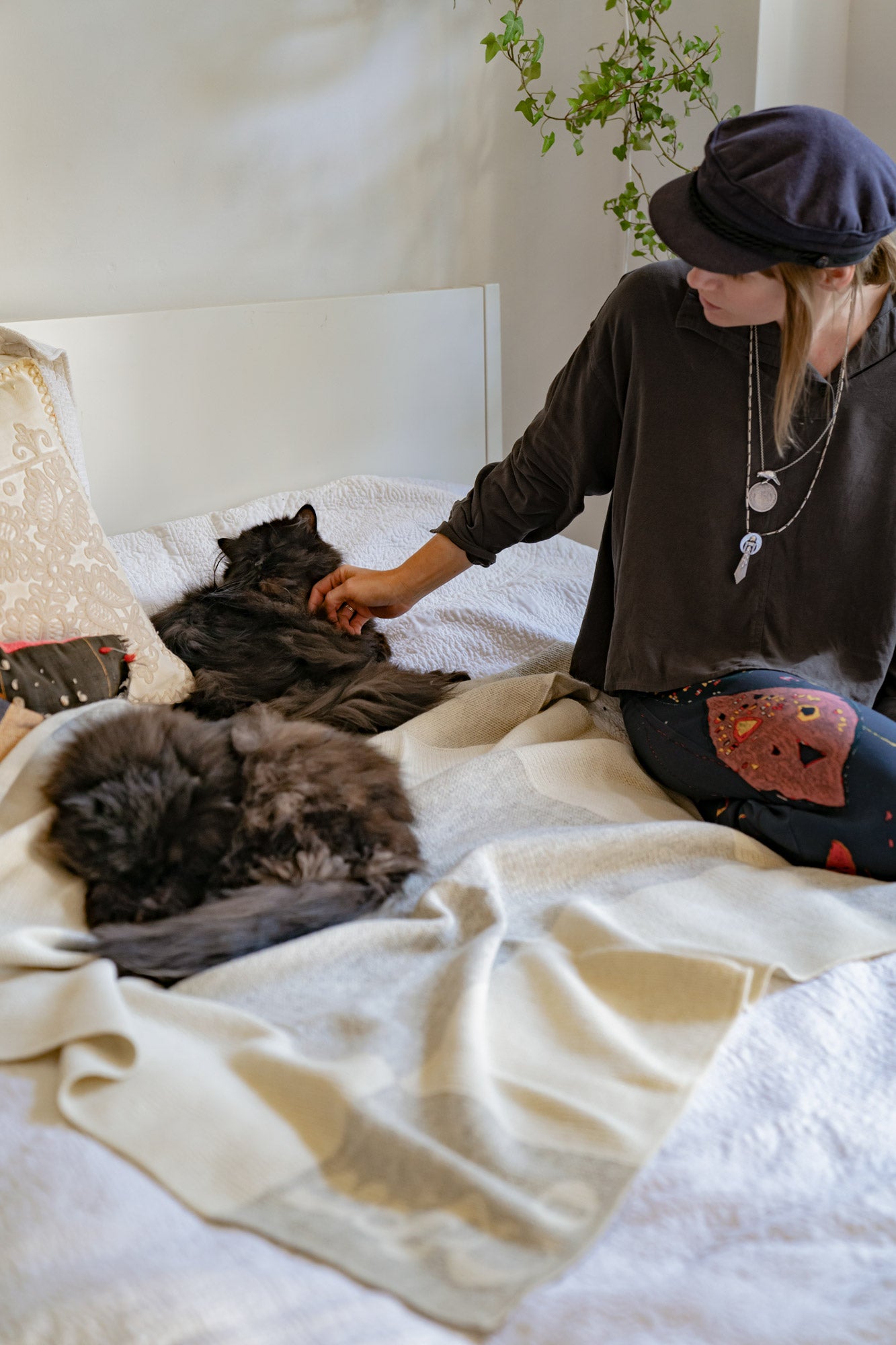 Two persian cats on soft blanket