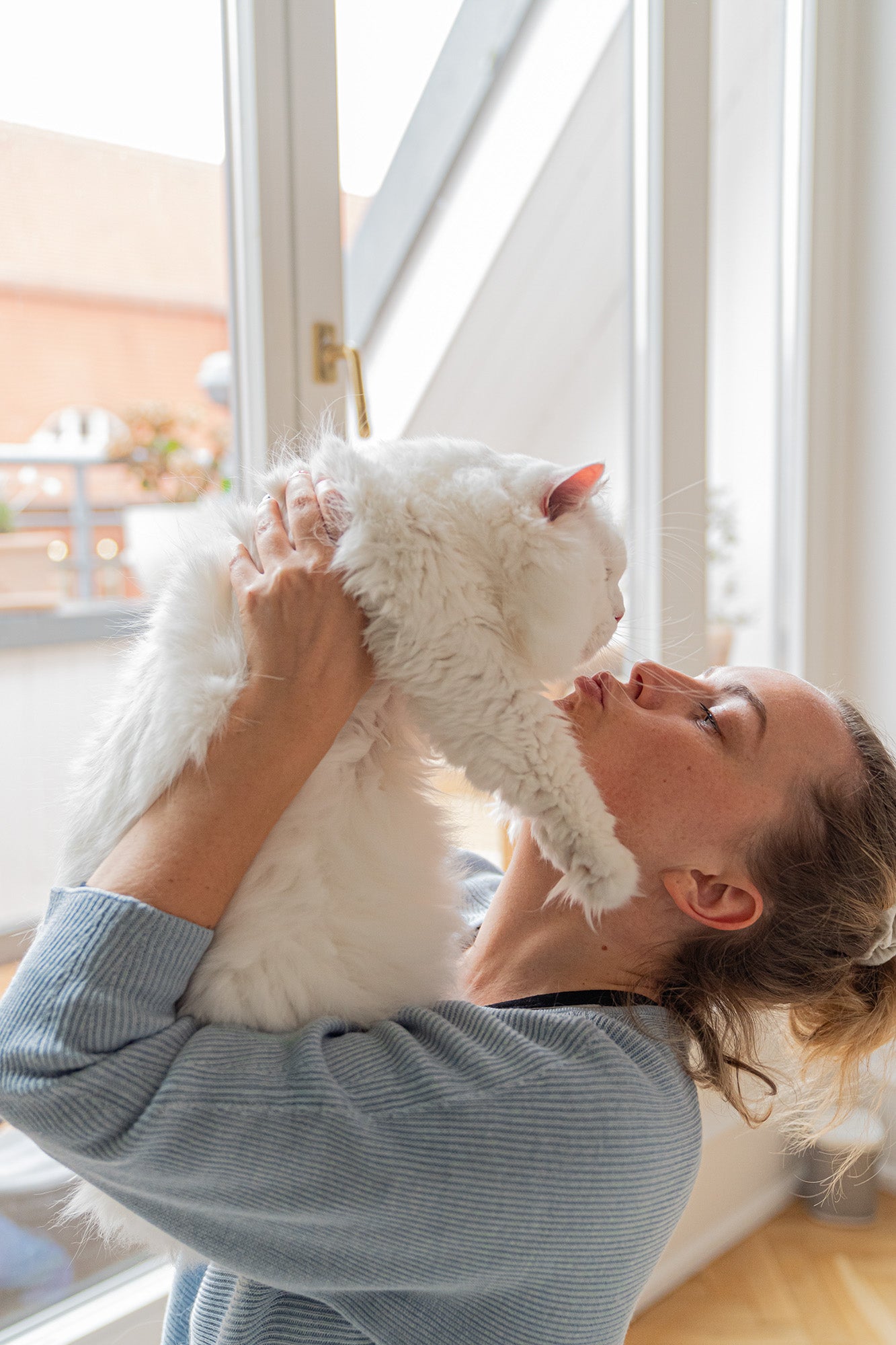 Beautiful white cat in Berlin