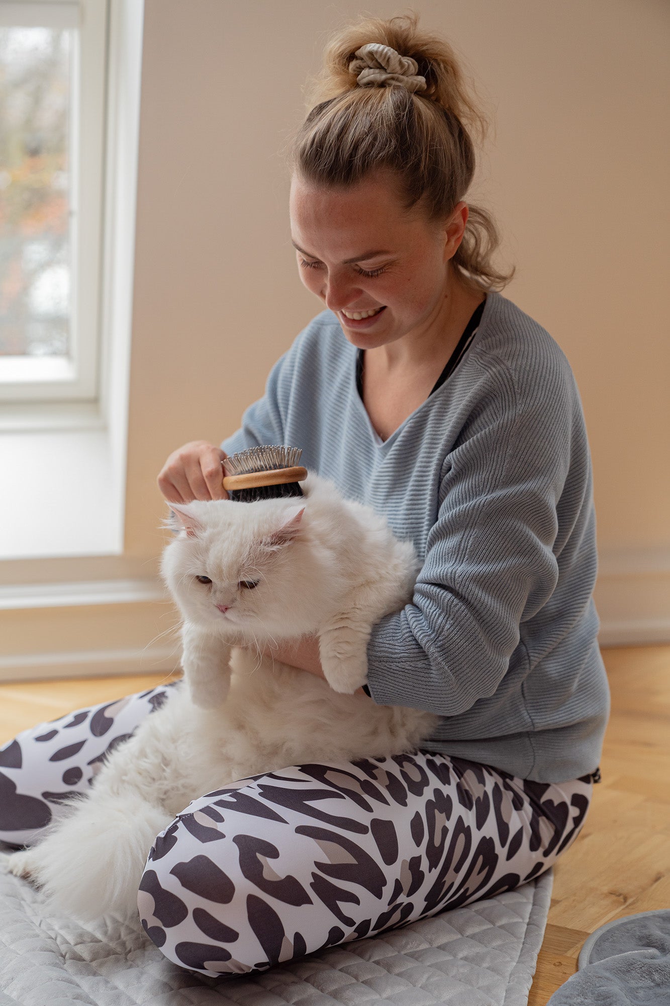 Long haired cat being brushed