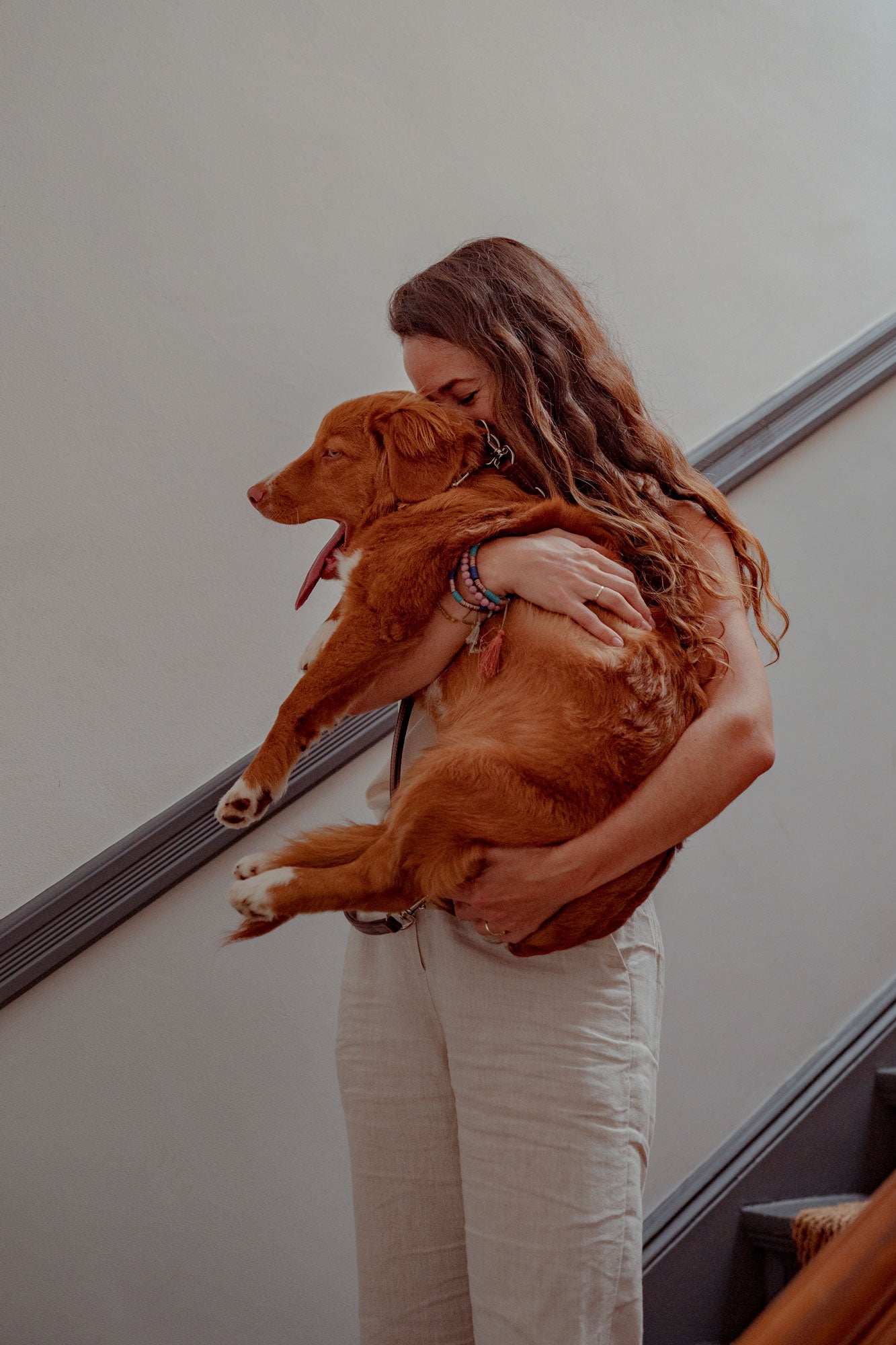 Woman carrying Toller dog breed down the stairs