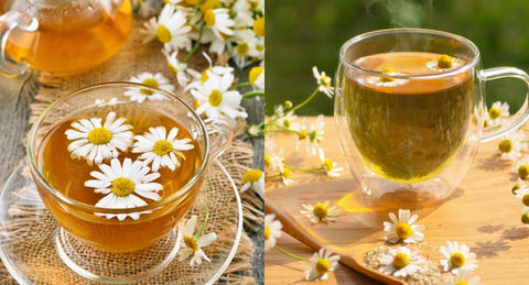 Health Benefits of Organic Chamomile Tea