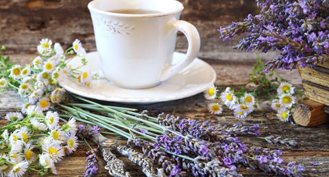 Origins of Lavender Chamomile Tea