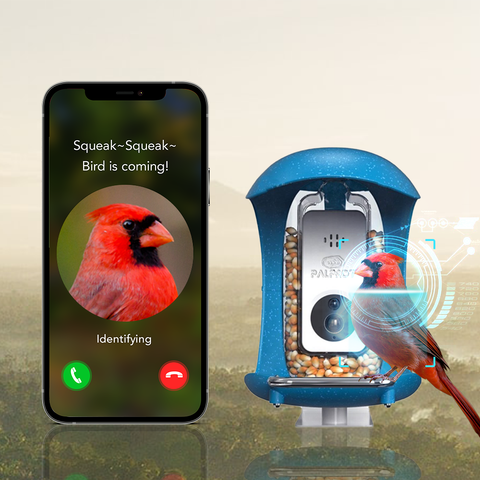 palprot smart bird feeder